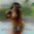 Adult personals Geneva