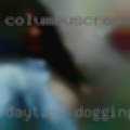 Daytime dogging California